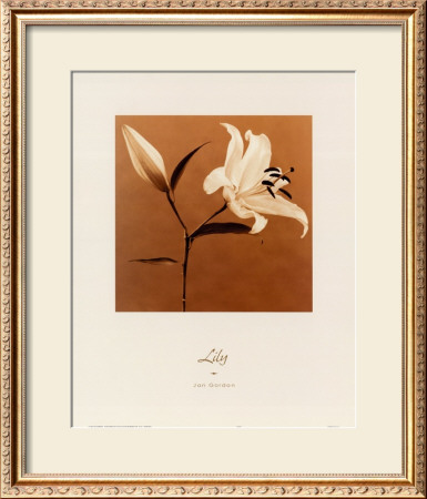Buy Lily at AllPosters.com