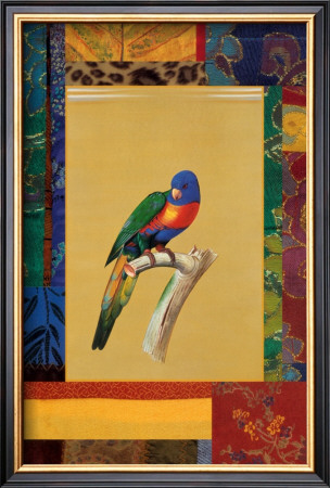 Australian Parrot