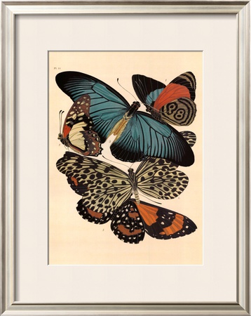 Butterflies I