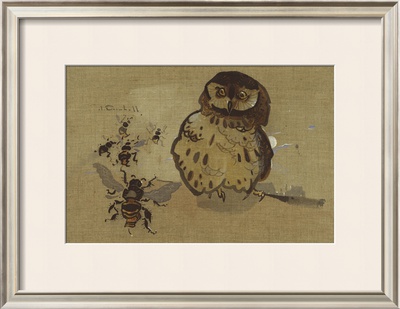 Owl And Bee