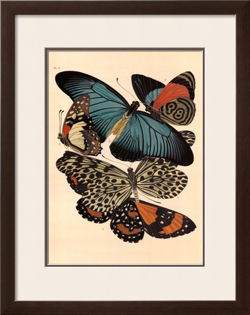 Butterflies I