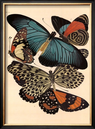 Butterflies I