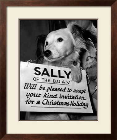 Sally Looks For a Home