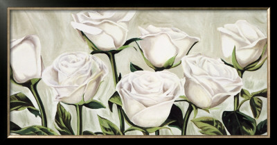 Rose Bianche