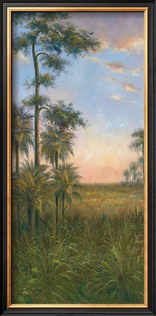 Tropical Serenity II