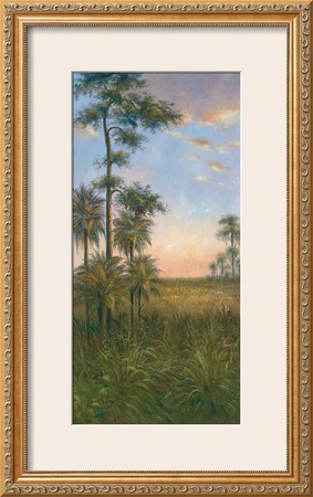 Tropical Serenity II