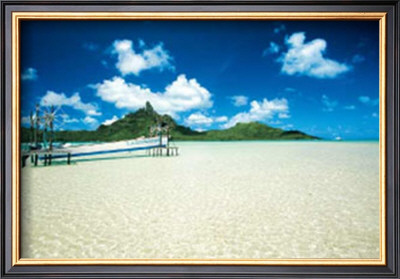 Buy Langoonarium at AllPosters.com