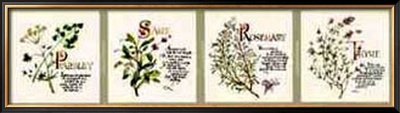 Kitchen Herbs II