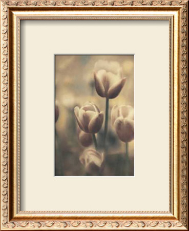 Buy Tinted Tulips III at AllPosters.com