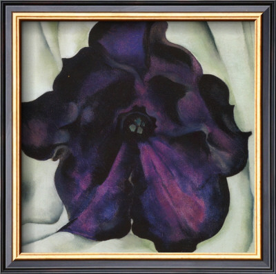 Purple Petunia