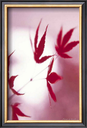 Buy Arrangement of the Leaves I at AllPosters.com