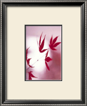 Buy Arrangement of the Leaves I at AllPosters.com