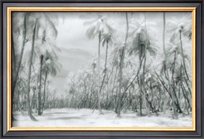 Buy Manzanilla Point Road at AllPosters.com