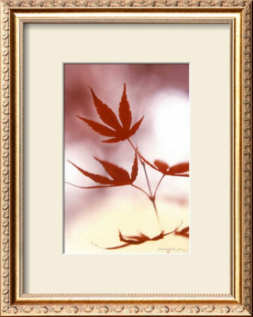 Buy Arrangement of the Leaves II at AllPosters.com