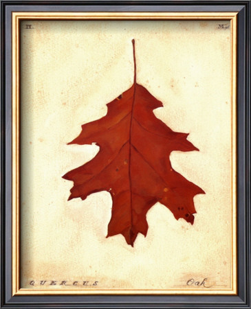 Oak Leaf Framed Art Print