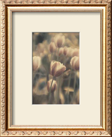 Buy Tinted Tulips I at AllPosters.com