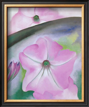 Petunia no. 2