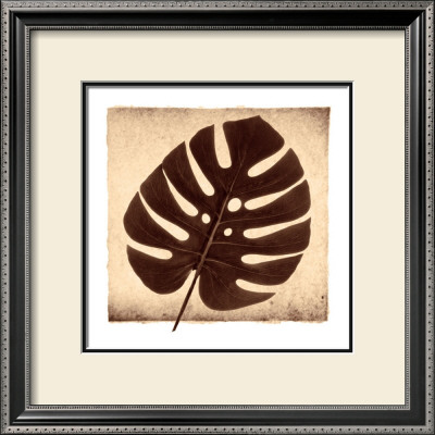 Monstera I