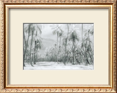 Buy Manzanilla Point Road at AllPosters.com