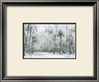 Buy Manzanilla Point Road at AllPosters.com