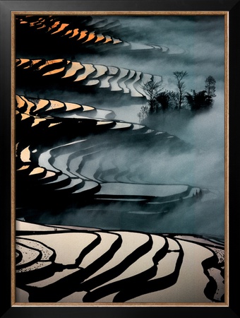 China, Yunnan Rice fields