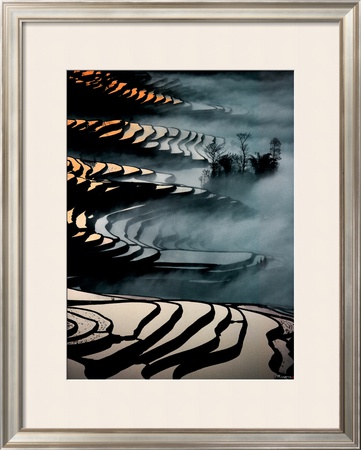 China, Yunnan Rice fields