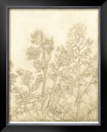 Ivory Field I