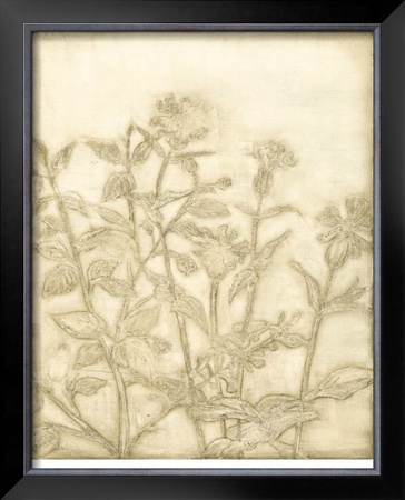 Ivory Field II