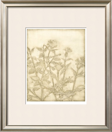 Ivory Field II