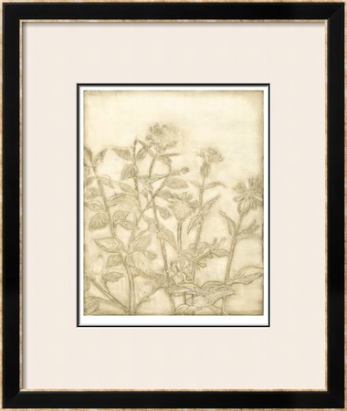 Ivory Field II