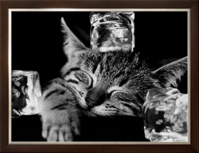 Buy Kool Kat II at AllPosters.com