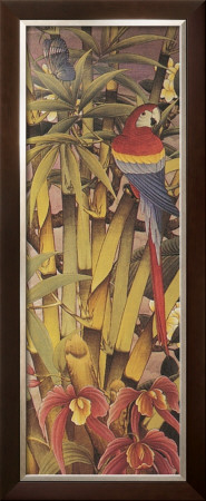 Tropica I