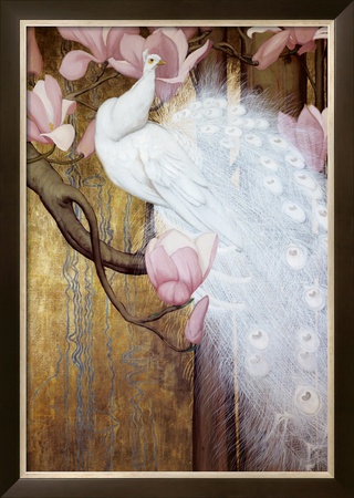 Peacock with Magnolia