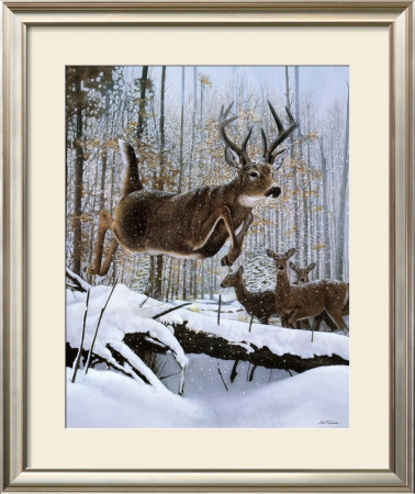 Leaping Deer