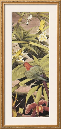 Tropica II