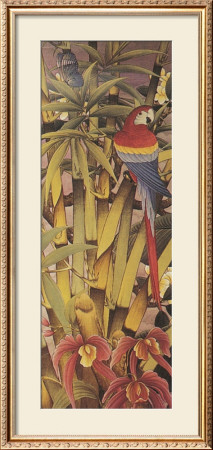 Tropica I