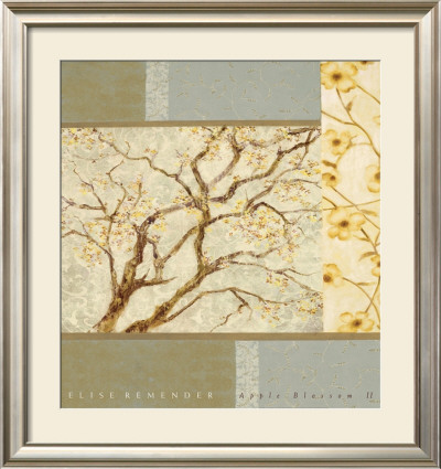 Apple Blossom II