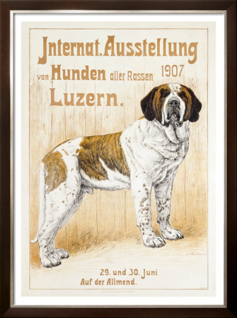 Austellung Von Hunden