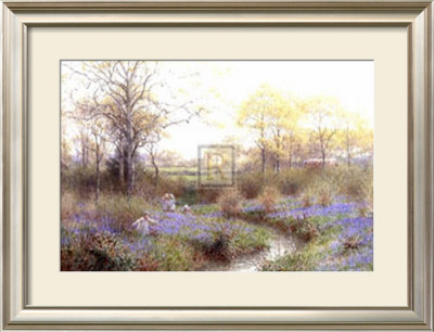 Picking Bluebells