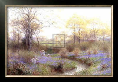 Picking Bluebells
