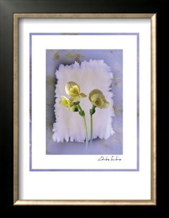 Buy Mamole at AllPosters.com