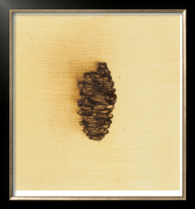 Fundamental Nature II