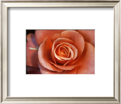 Buy Untitled at AllPosters.com