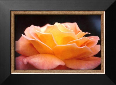 Buy Untitled at AllPosters.com