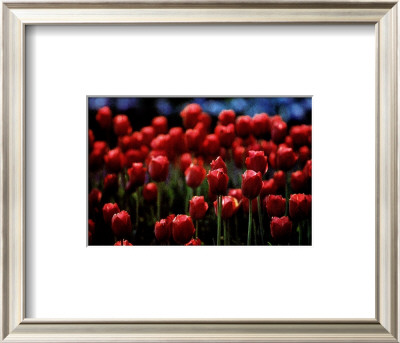 Buy Untitled at AllPosters.com
