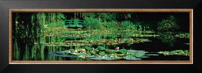 Buy Nympheas at AllPosters.com