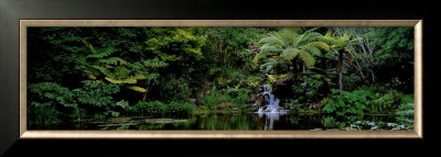 Buy Ayrlies, Auckland, New Zealand at AllPosters.com