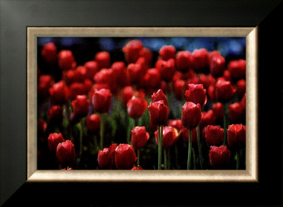 Buy Untitled at AllPosters.com
