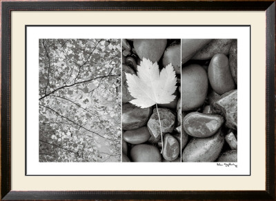 Buy Nature Trio at AllPosters.com