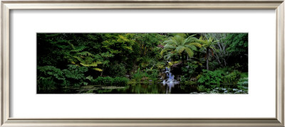 Buy Ayrlies, Auckland, New Zealand at AllPosters.com